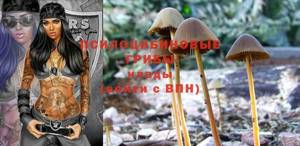 мет Карпинск