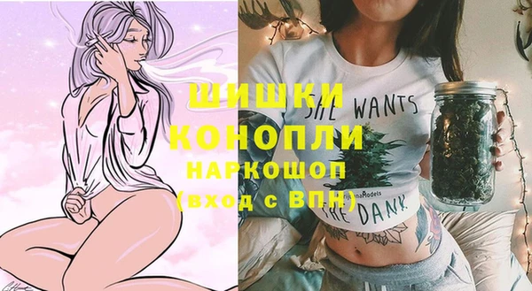 мет Карпинск