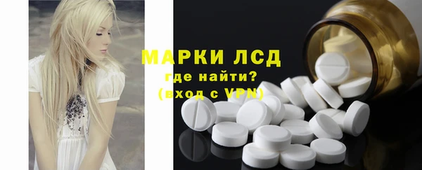 сатива Инсар