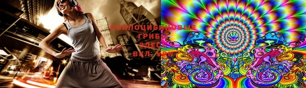 шишки Киреевск