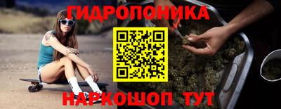 PSILOCYBIN Канаш