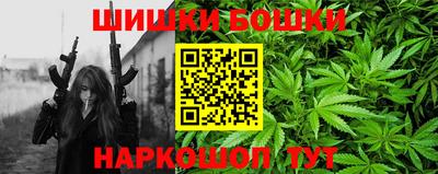мдпв Камышлов