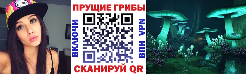 Галлюциногенные грибы мицелий где продают Краснознаменск