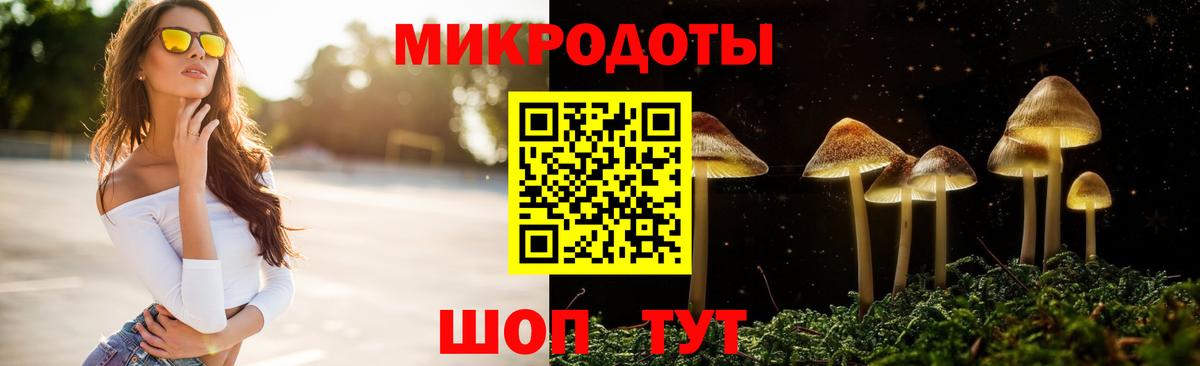 Краснознаменск  Псилоцибиновые грибы MAGIC MUSHROOMS  Вход с VPN 